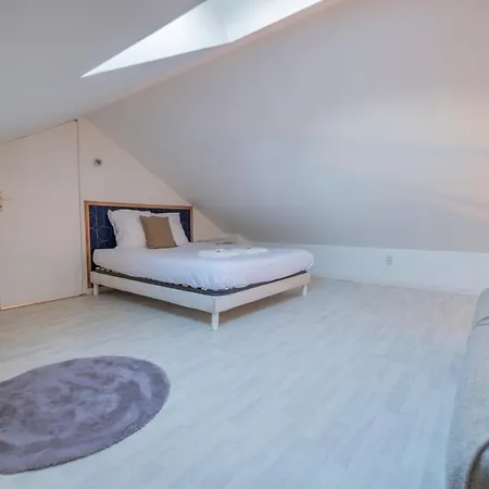 Le Loft - Triplex 200m2 En Centre-ville アパート *